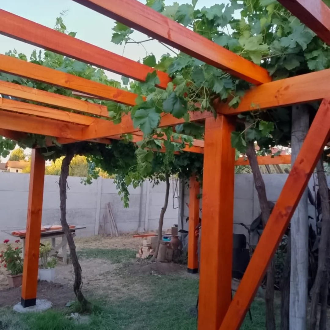 Modernizacion De Parron